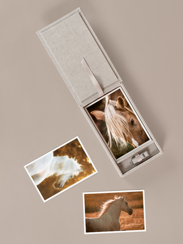 Fotobox und Fine Art Prints